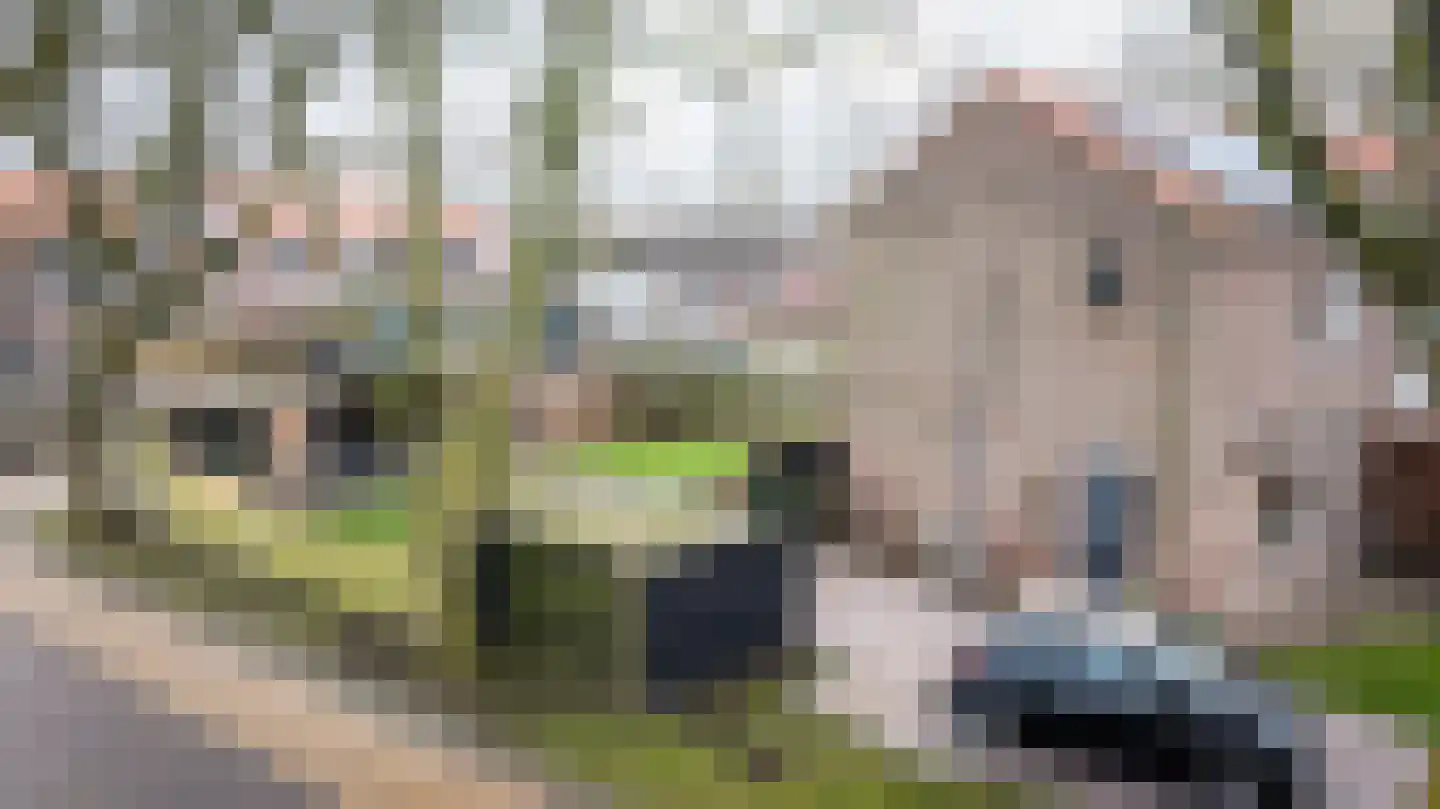 Vijverpark 40 Kuinre thumbnail 39