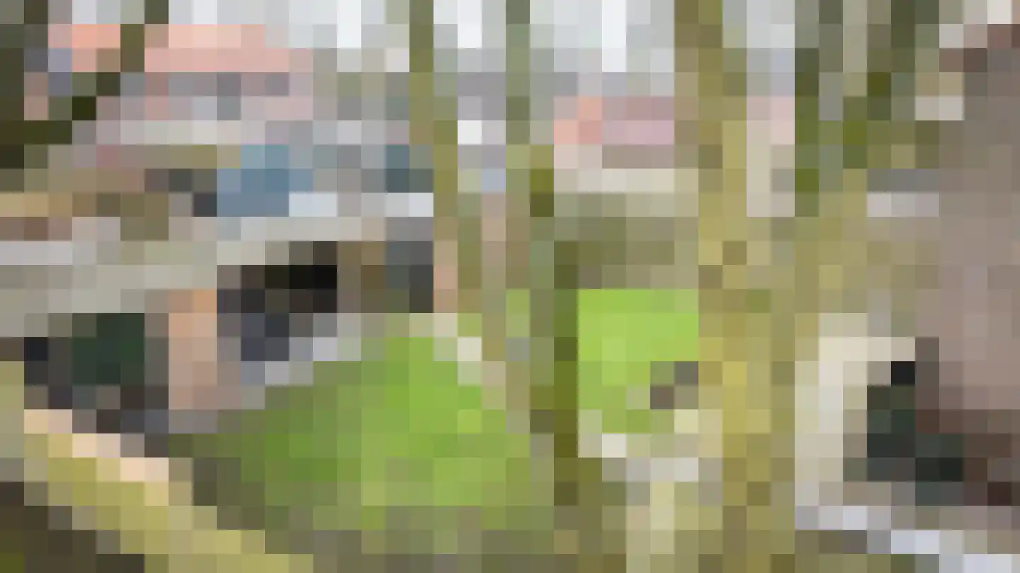 Vijverpark 40 Kuinre thumbnail 40