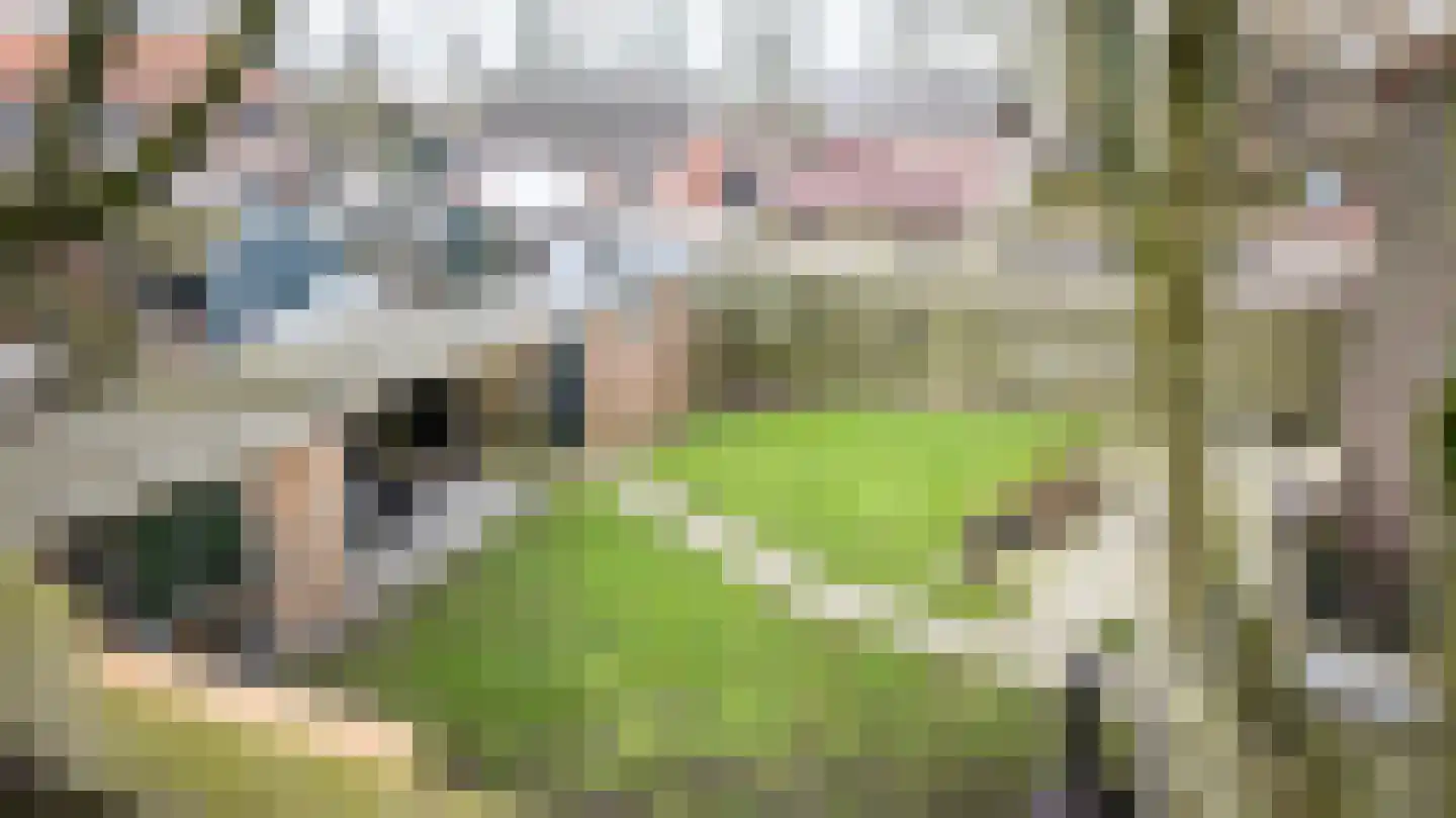 Vijverpark 40 Kuinre thumbnail 41