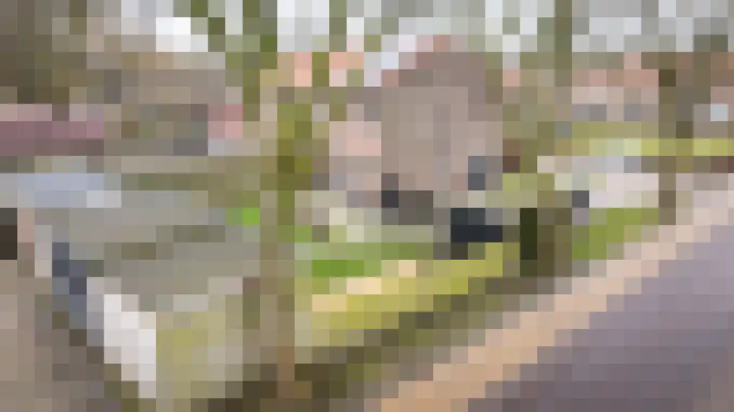 Vijverpark 40 Kuinre thumbnail 42