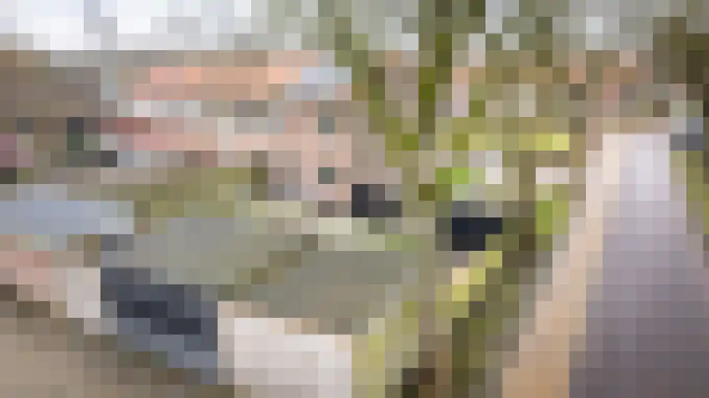 Vijverpark 40 Kuinre thumbnail 43