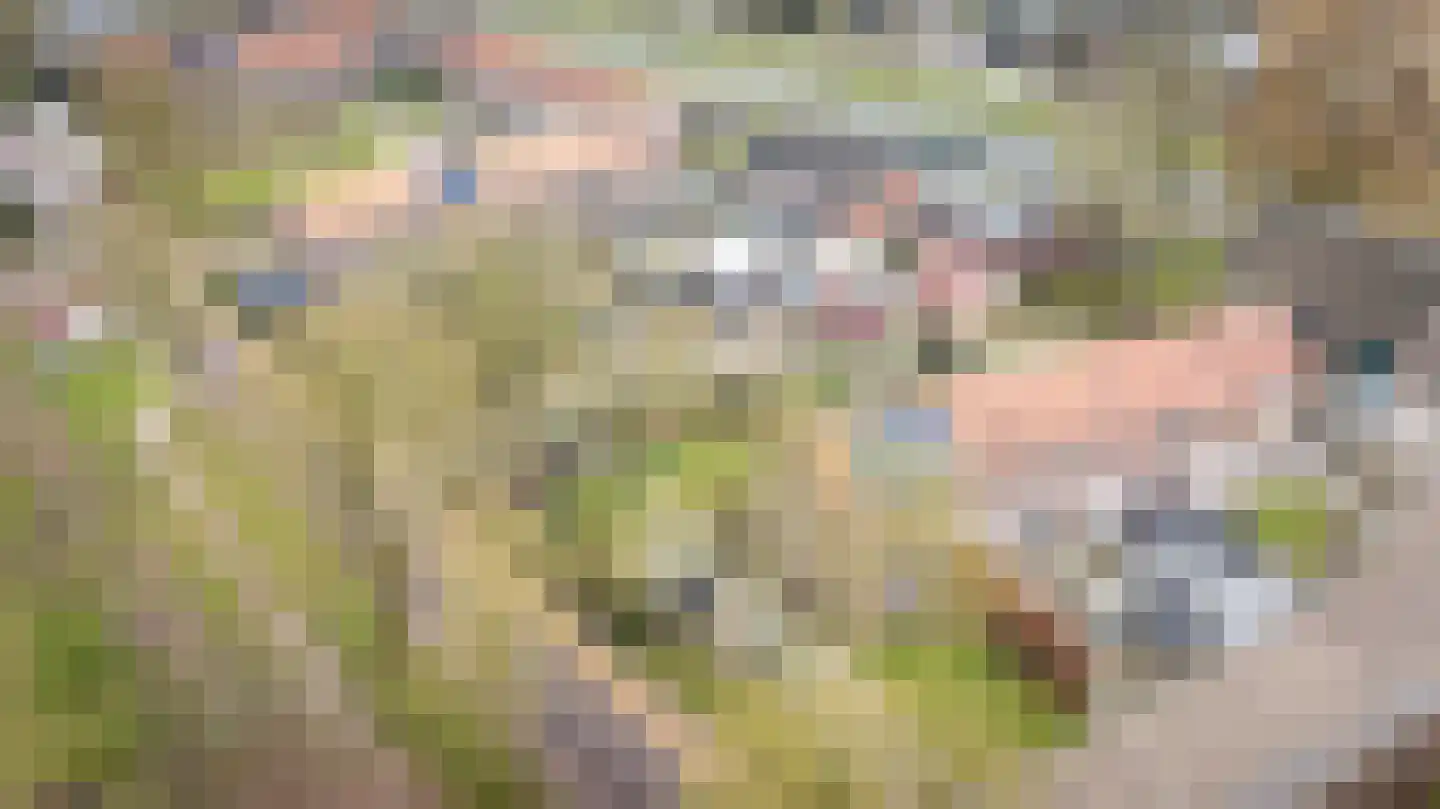 Vijverpark 40 Kuinre thumbnail 48