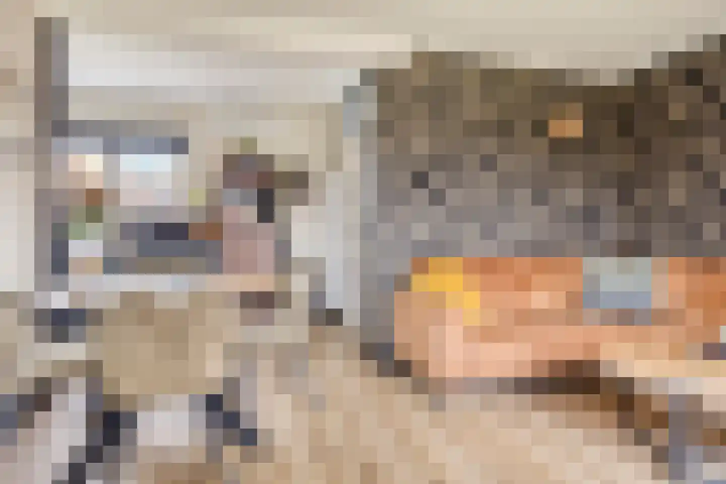 Vijverpark 40 Kuinre thumbnail 8