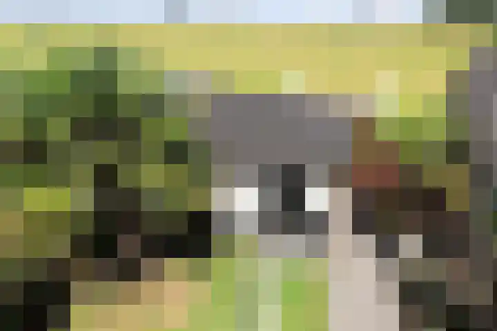 Vijverpark 73 Kuinre thumbnail 19