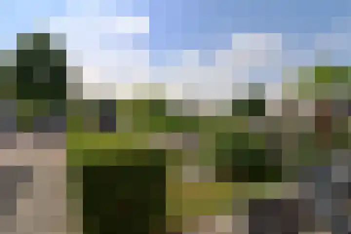 Vijverpark 73 Kuinre thumbnail 23