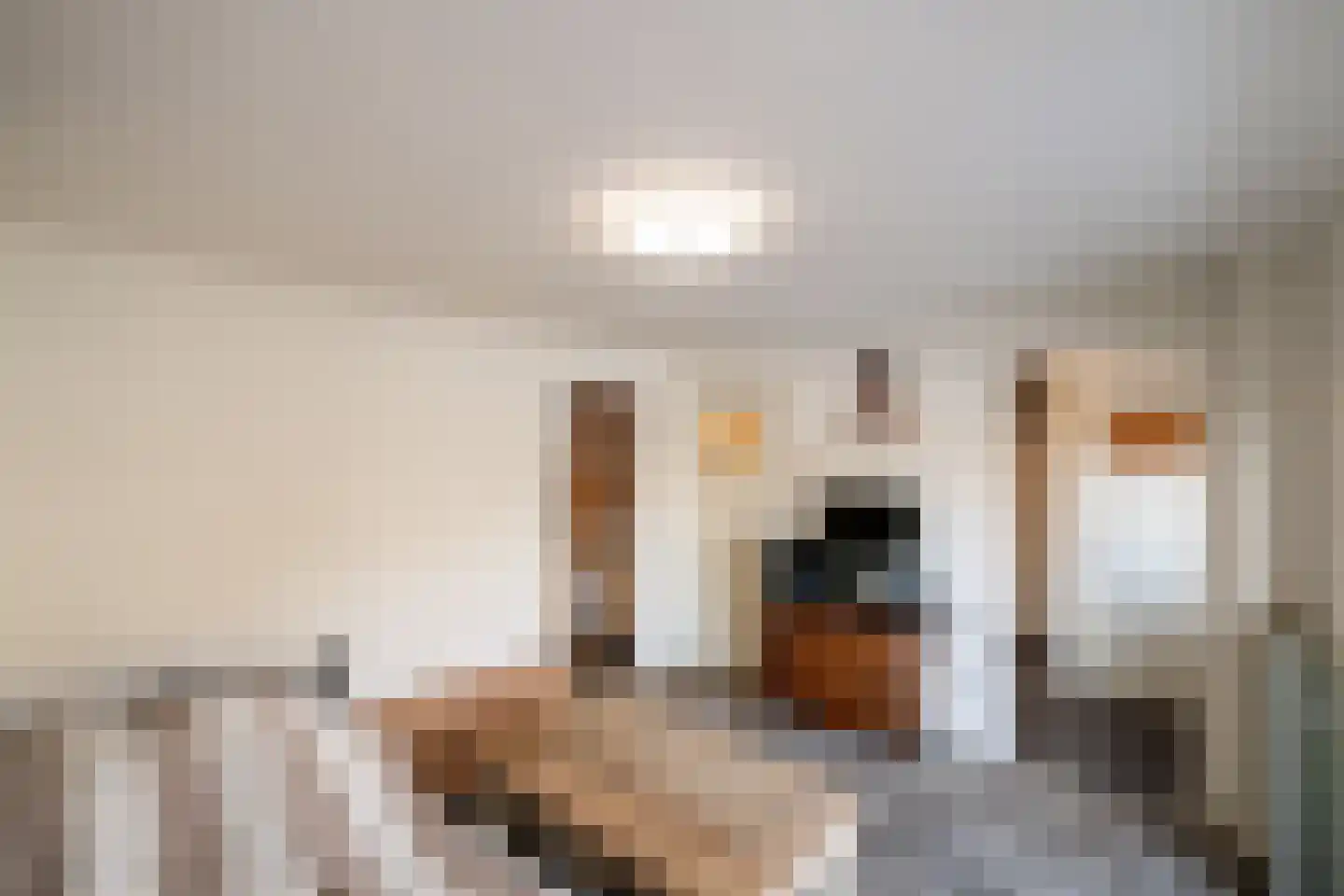 Vijversingel 54 Oss thumbnail 15