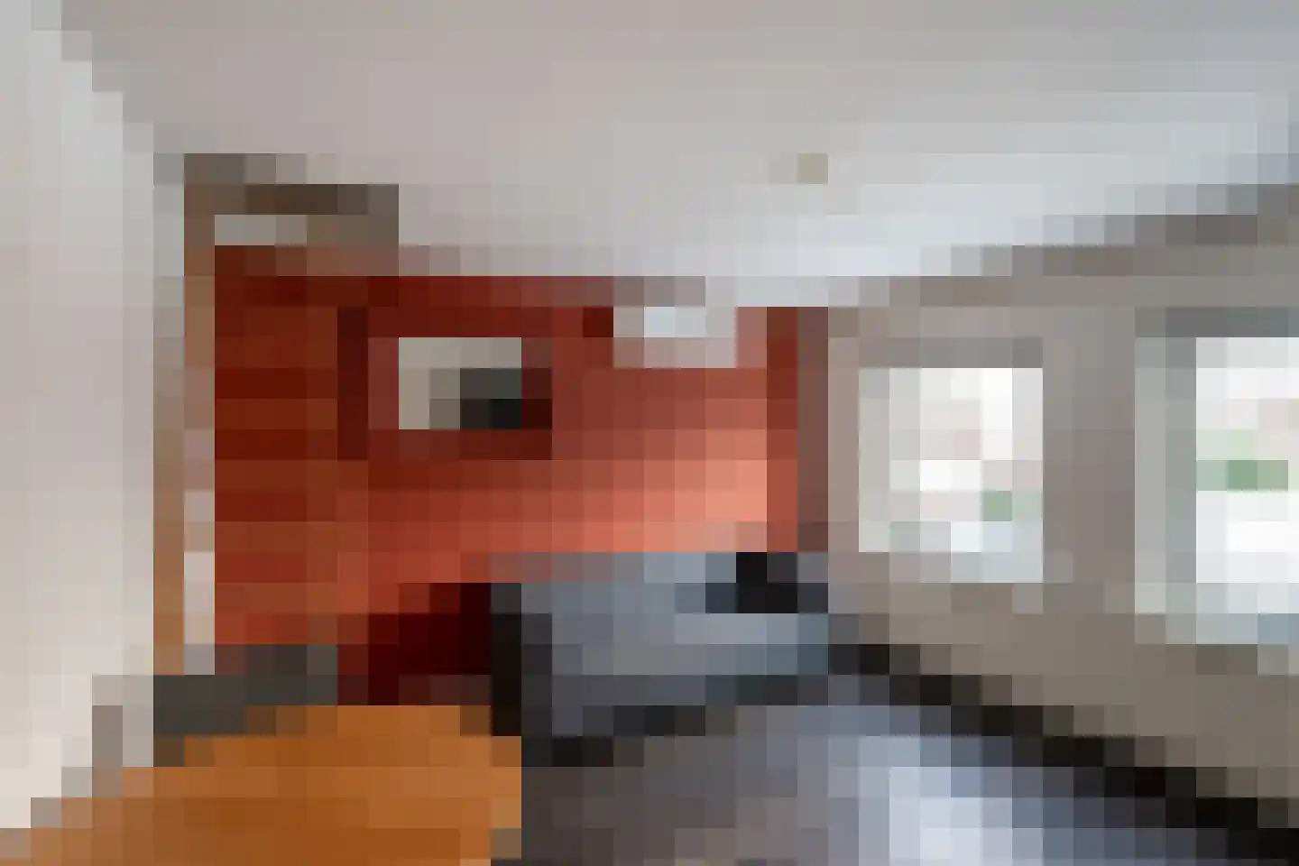 Vijversingel 54 Oss thumbnail 16