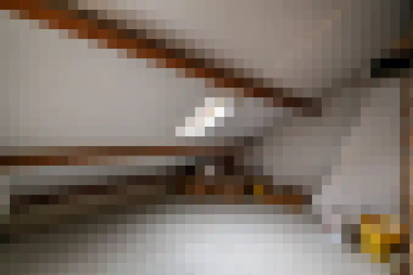 Vijversingel 54 Oss thumbnail 18