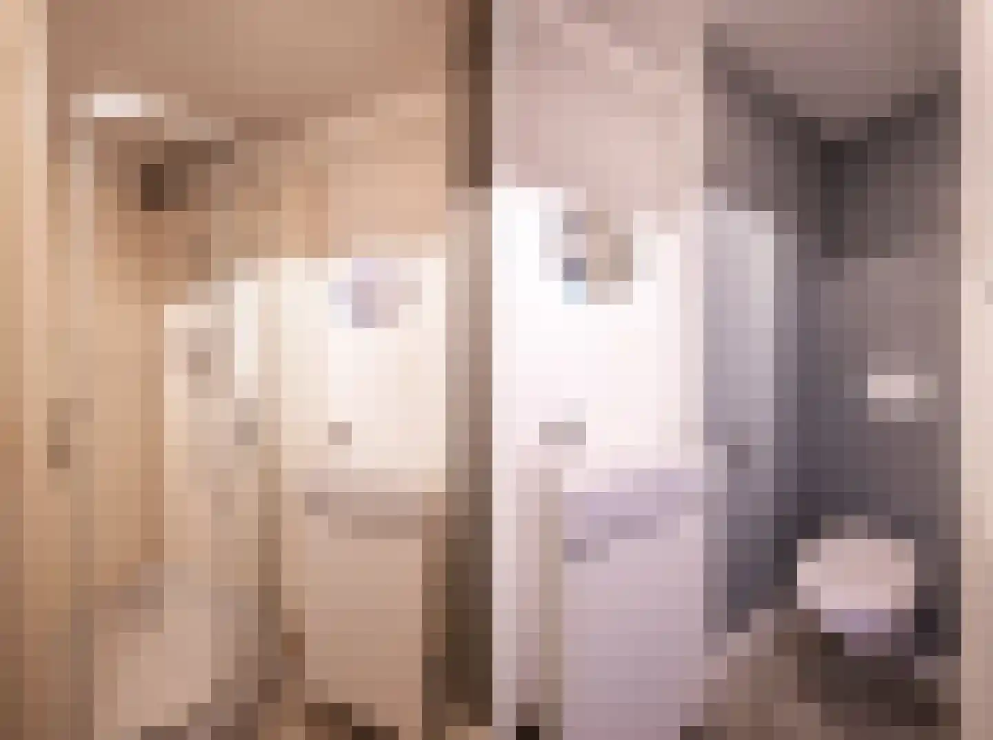 Vijversingel 54 Oss thumbnail 19