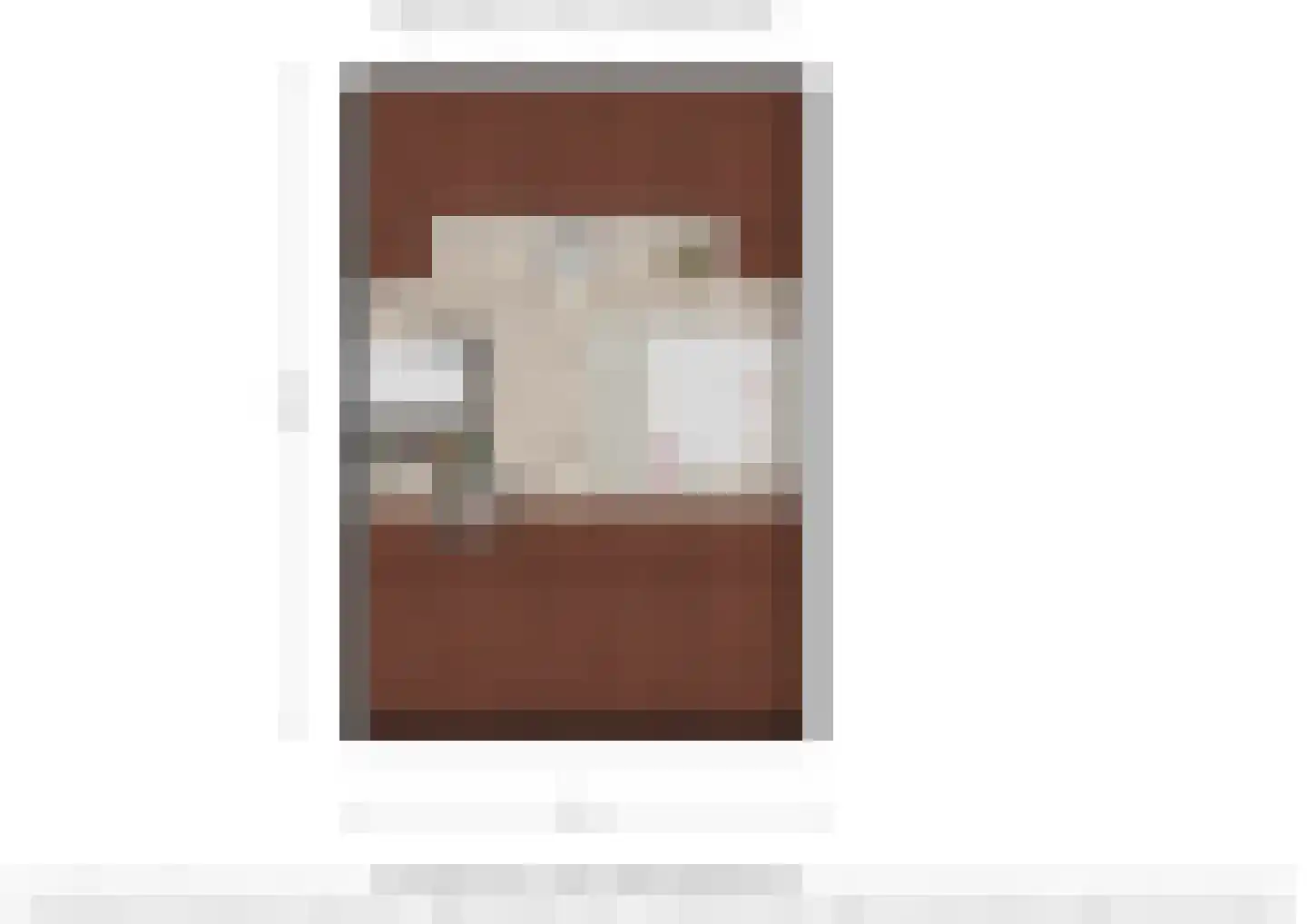 Vijversingel 54 Oss thumbnail 26