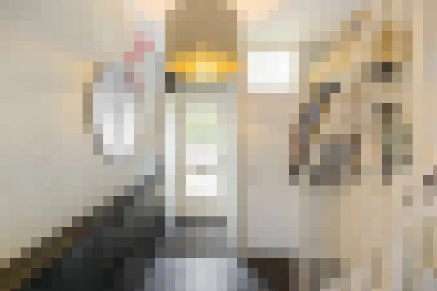 Vijverstraat 1 Muntendam thumbnail 15