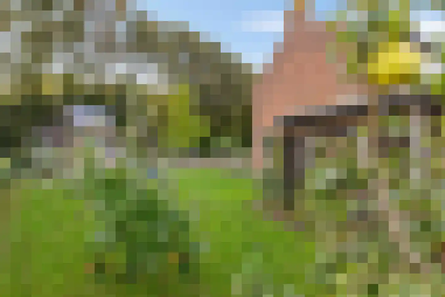 Vijverstraat 1 Muntendam thumbnail 28