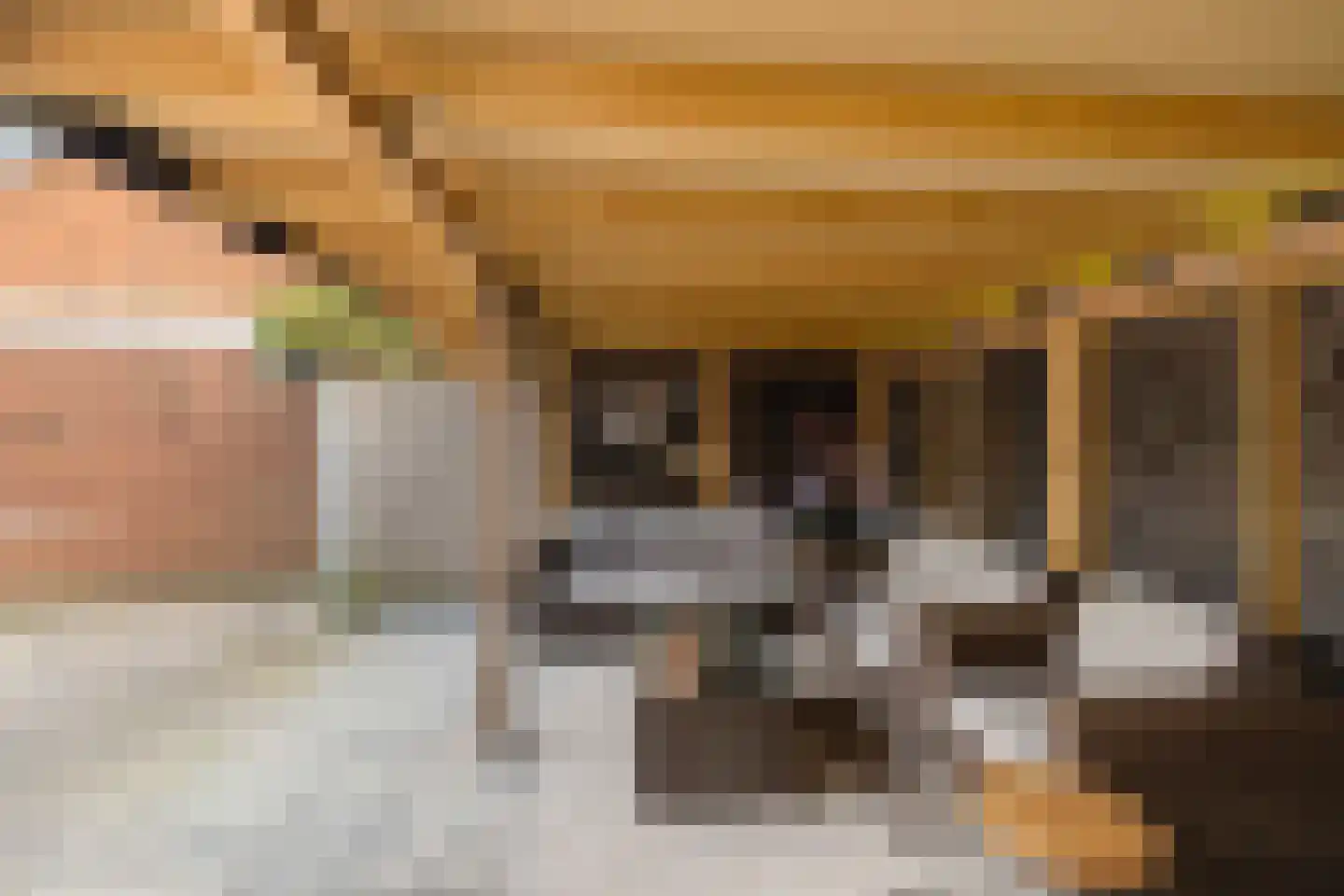 Vijverstraat 1 Muntendam thumbnail 4