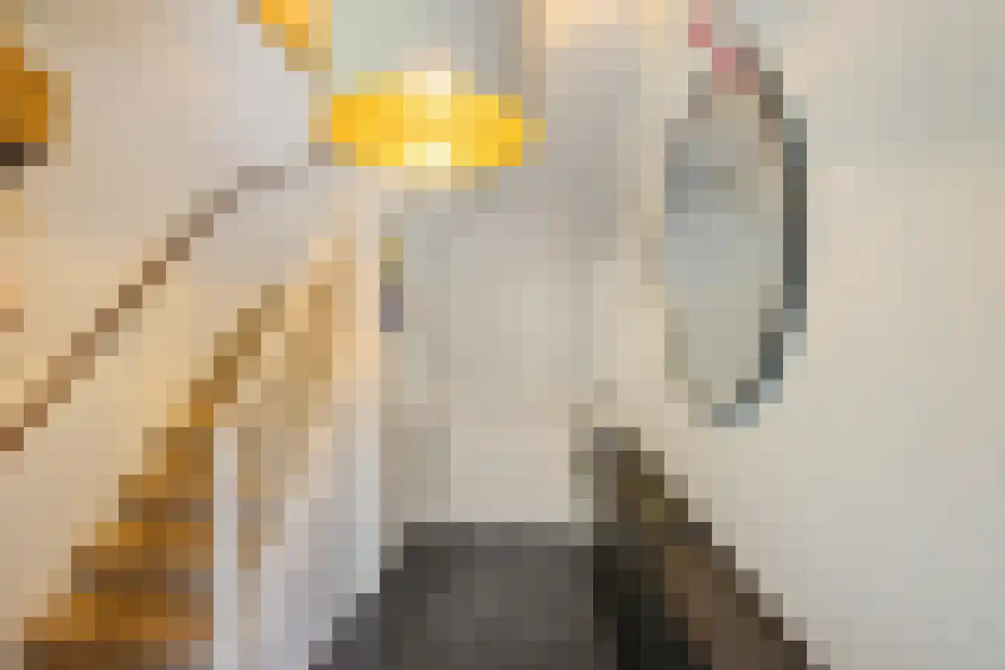 Vijverstraat 1 Muntendam thumbnail 5