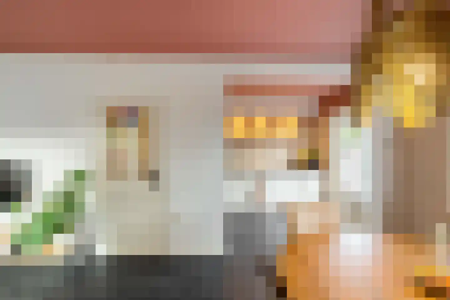 Vijverstraat 1 Muntendam thumbnail 9