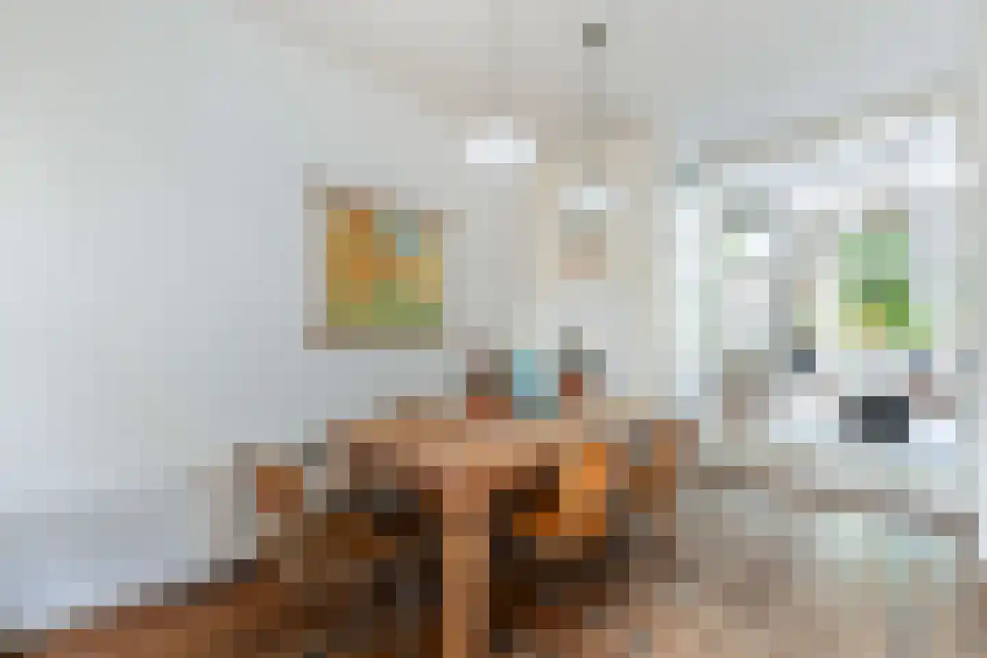 Vijverstraat 10 Gouda thumbnail 16