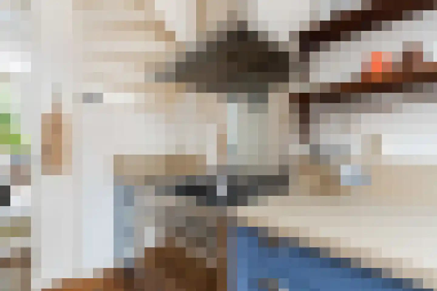 Vijverstraat 10 Gouda thumbnail 18