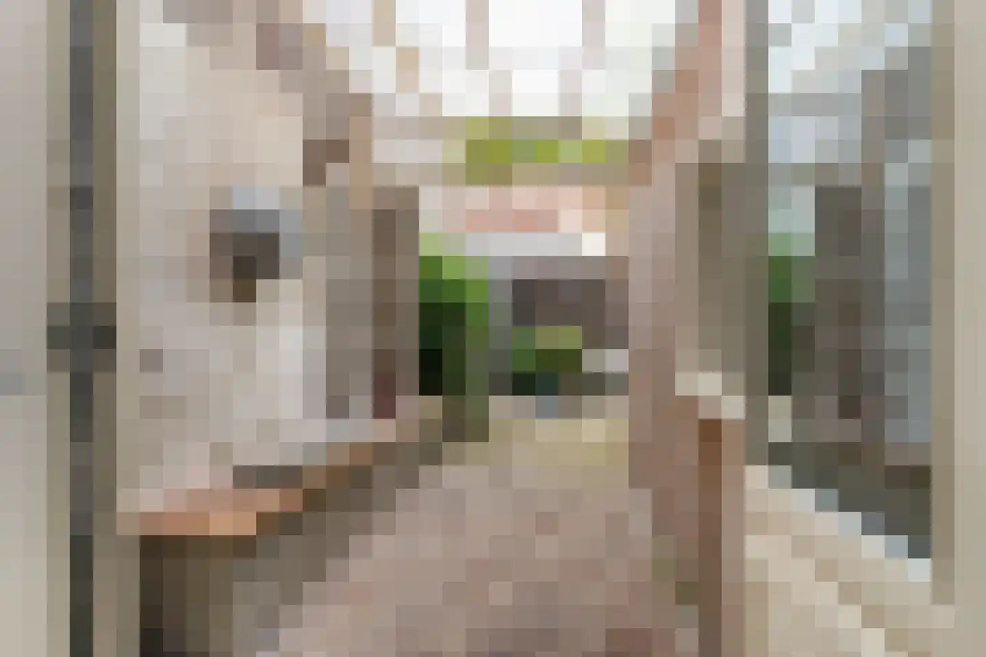 Vijverstraat 10 Gouda thumbnail 21