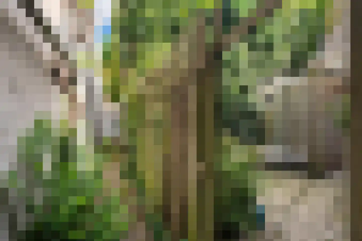 Vijverstraat 10 Gouda thumbnail 24