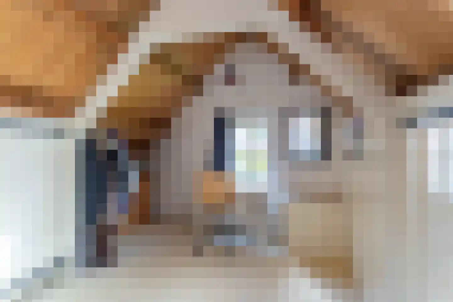 Vijverstraat 10 Gouda thumbnail 34