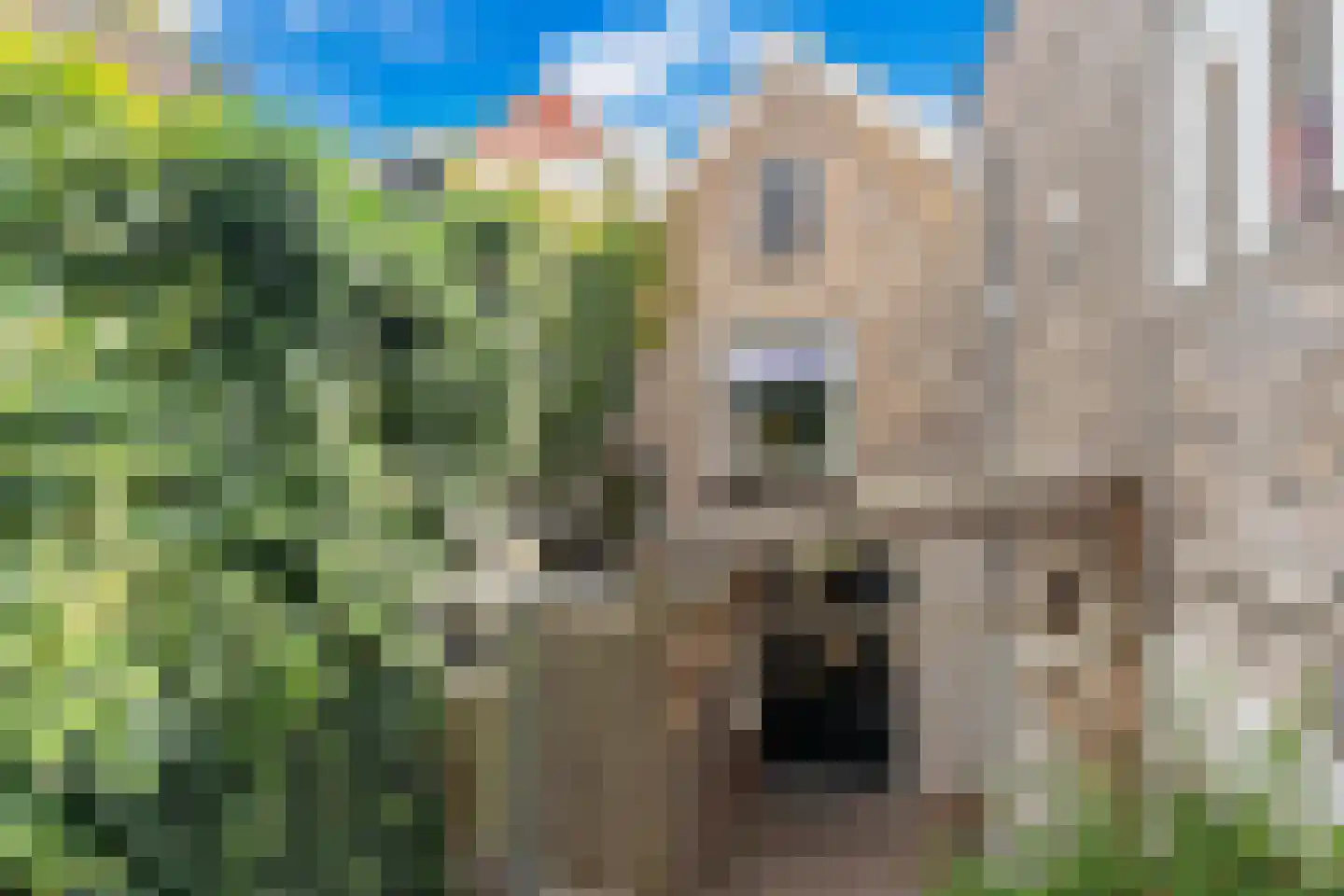 Vijverstraat 10 Gouda thumbnail 4