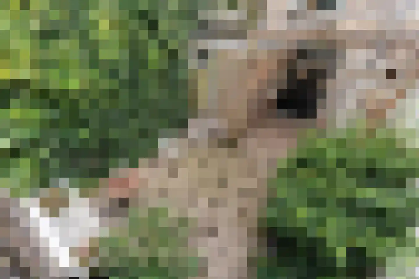 Vijverstraat 10 Gouda thumbnail 5
