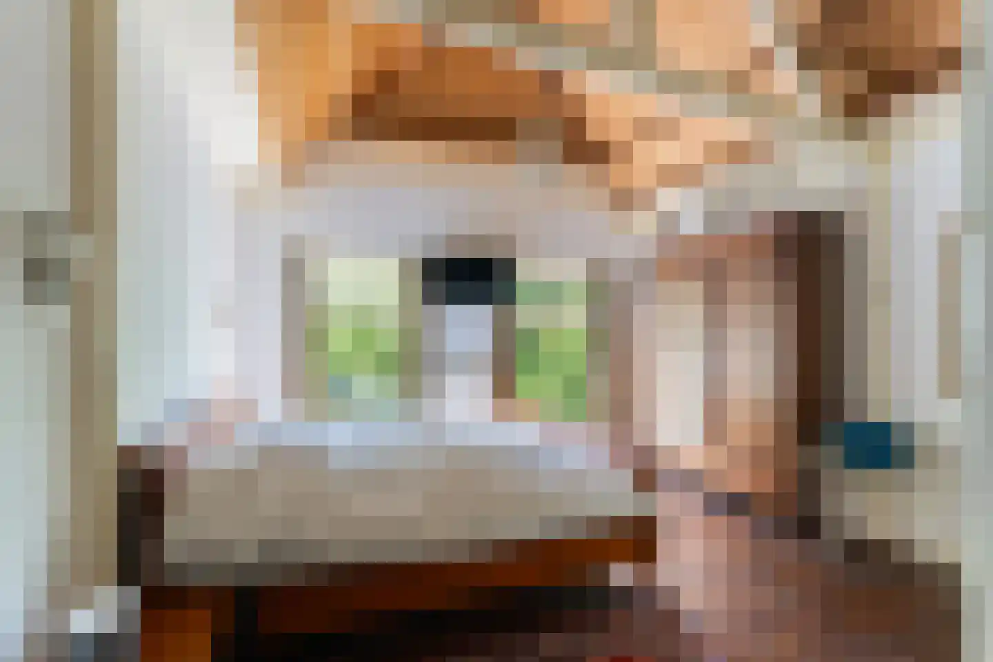 Vijverstraat 10 Gouda thumbnail 7