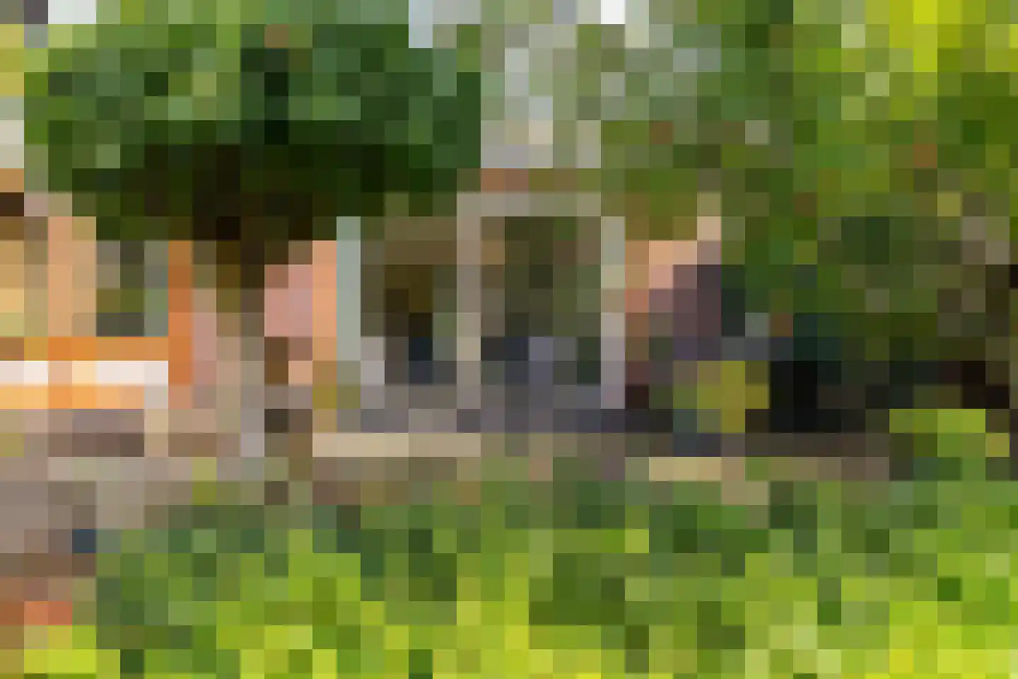 Vijverstraat 10 Hoogezand thumbnail 18