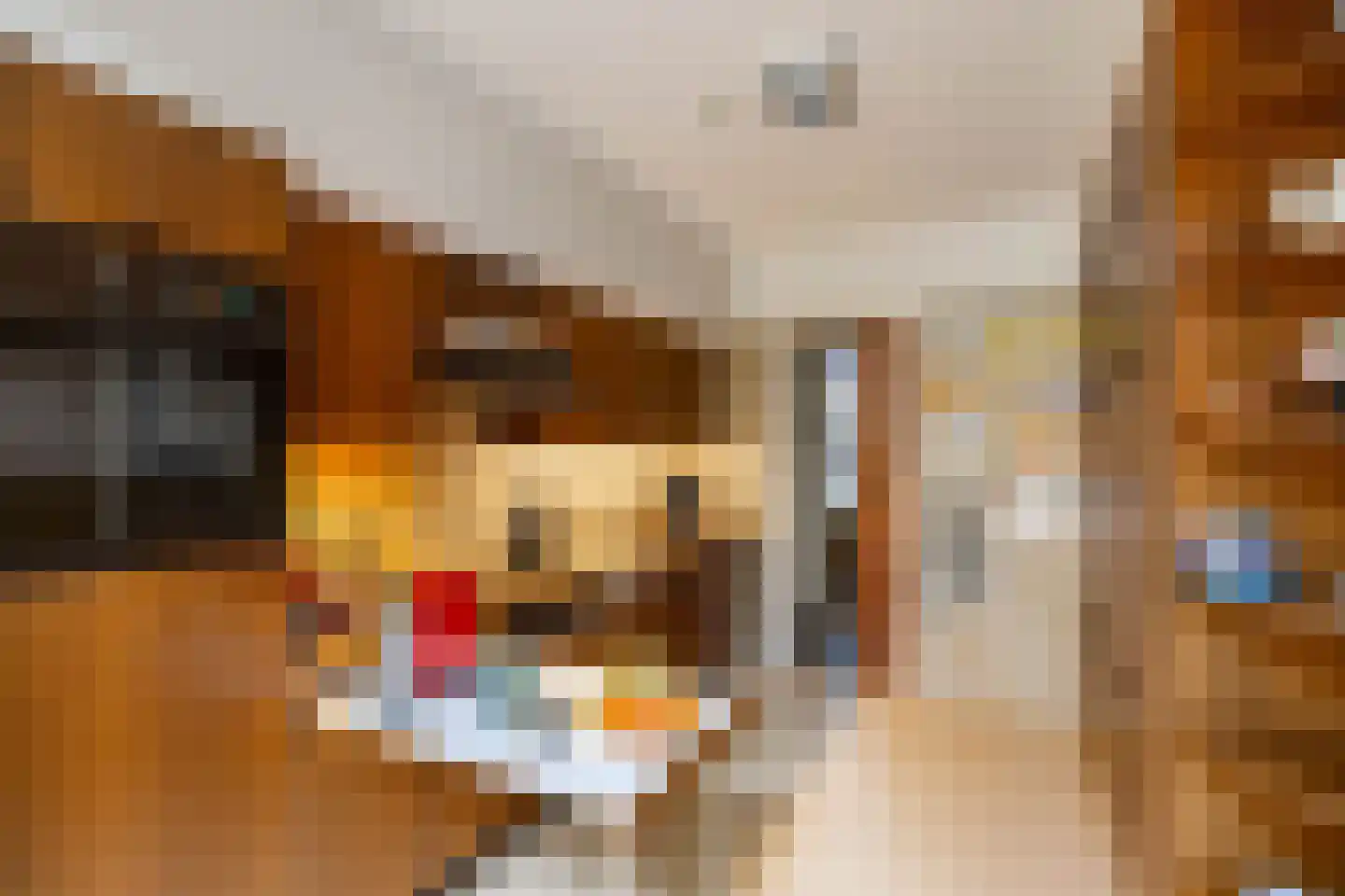 Vijverstraat 10 Hoogezand thumbnail 20