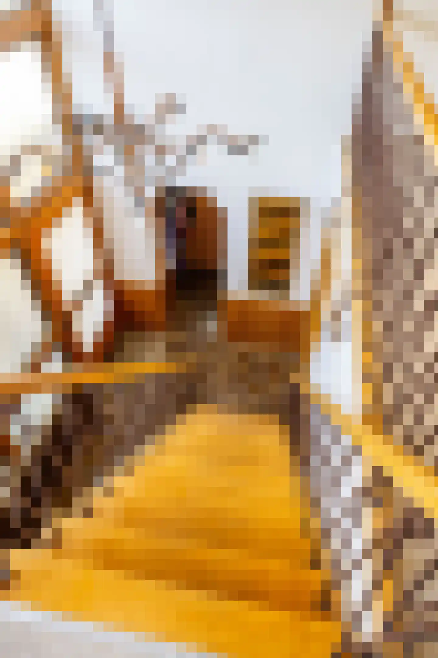 Vijverstraat 10 Hoogezand thumbnail 28