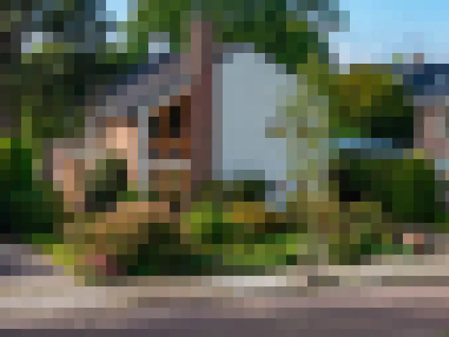 Vijverstraat 10 Hoogezand thumbnail 48