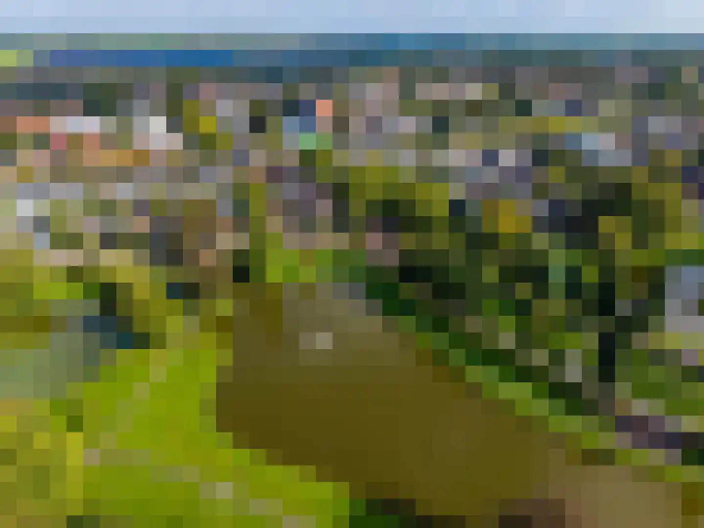 Vijverstraat 10 Hoogezand thumbnail 50