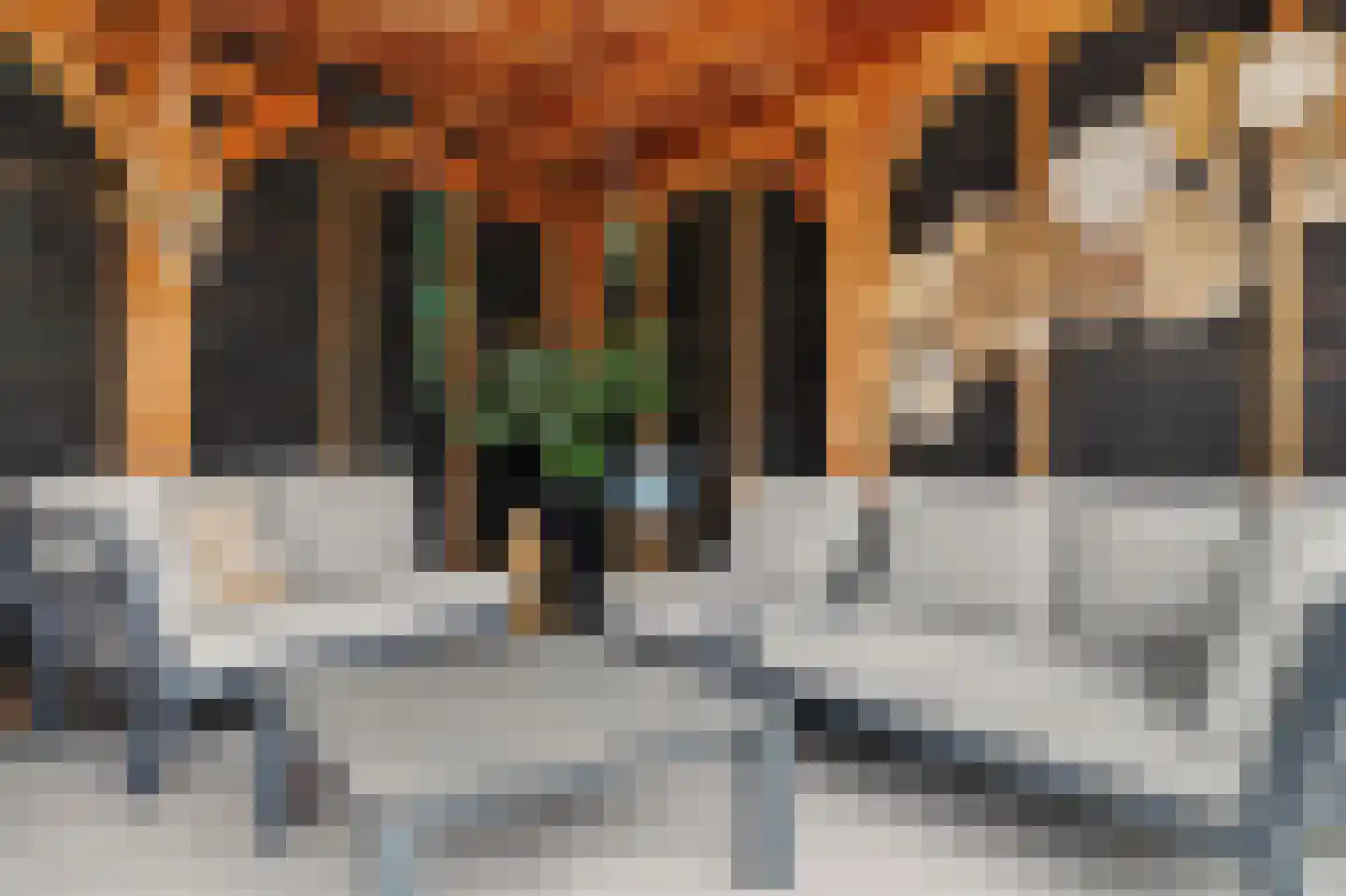Vijverstraat 10 Kapelle thumbnail 43