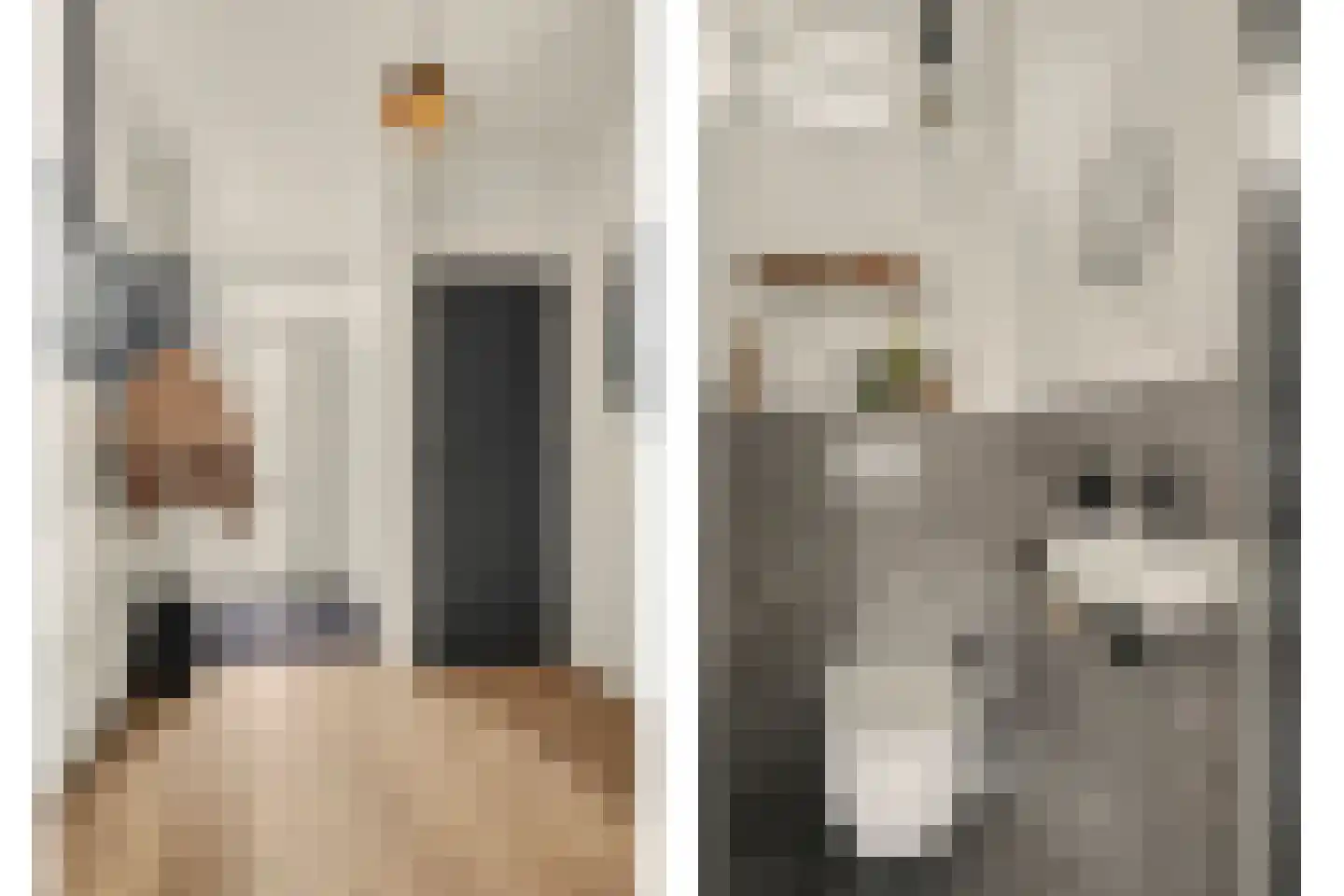 Vijverstraat 10 Kapelle thumbnail 8