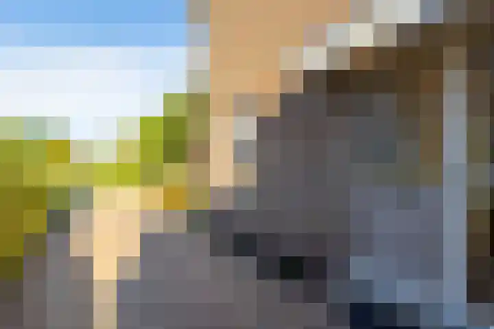 Vijverstraat 12 Nieuwendijk thumbnail 11