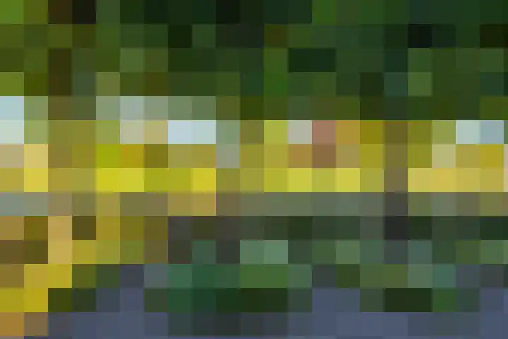 Vijverstraat 12 Nieuwendijk thumbnail 12