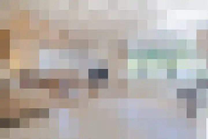 Vijverstraat 12 Nieuwendijk thumbnail 16