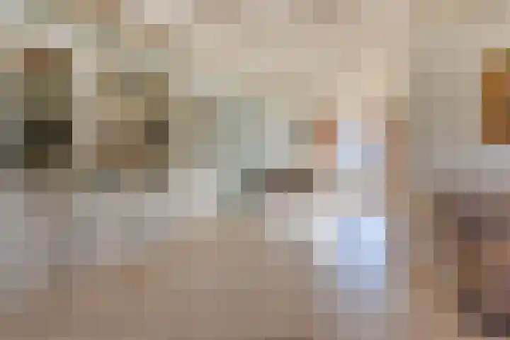 Vijverstraat 12 Nieuwendijk thumbnail 21