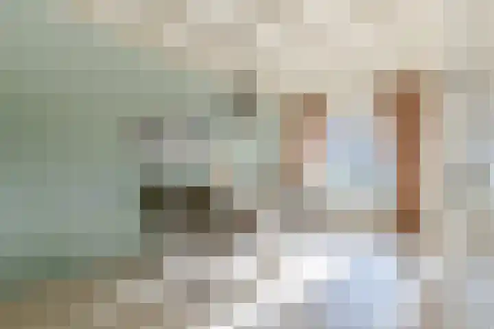 Vijverstraat 12 Nieuwendijk thumbnail 22