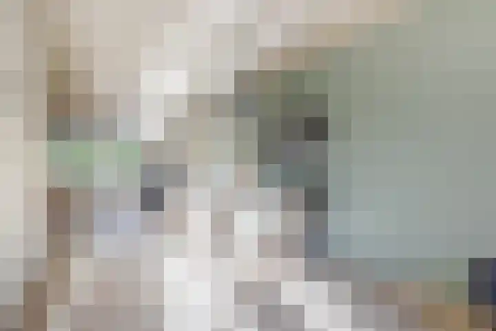 Vijverstraat 12 Nieuwendijk thumbnail 23