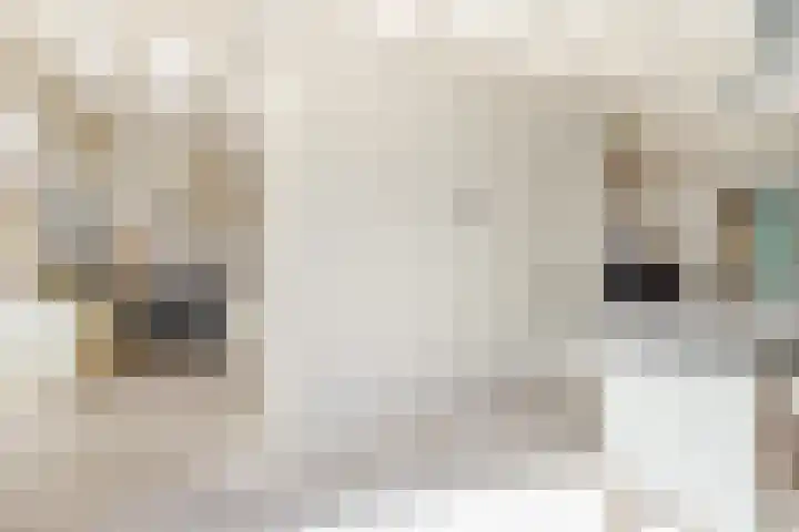 Vijverstraat 12 Nieuwendijk thumbnail 24