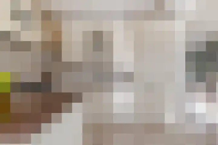 Vijverstraat 12 Nieuwendijk thumbnail 26