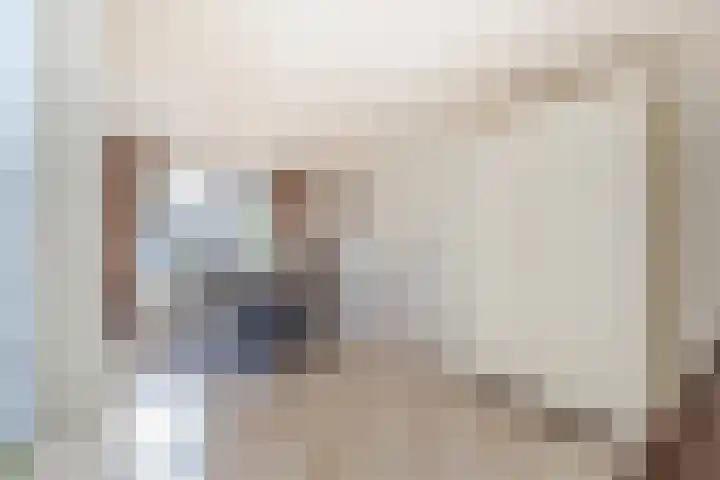Vijverstraat 12 Nieuwendijk thumbnail 29