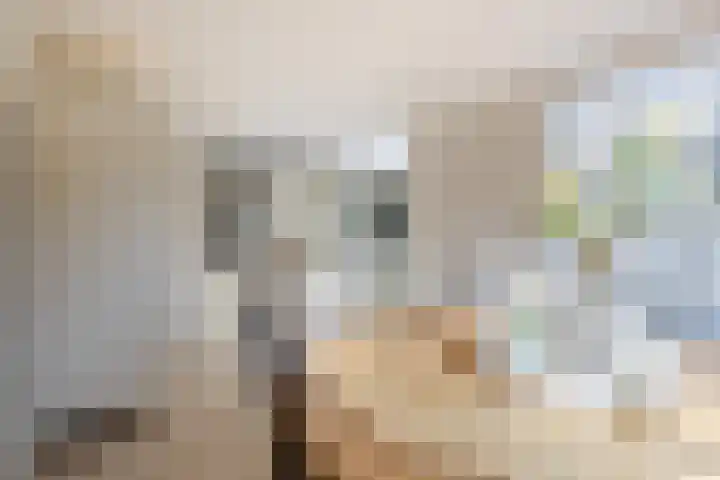 Vijverstraat 12 Nieuwendijk thumbnail 30