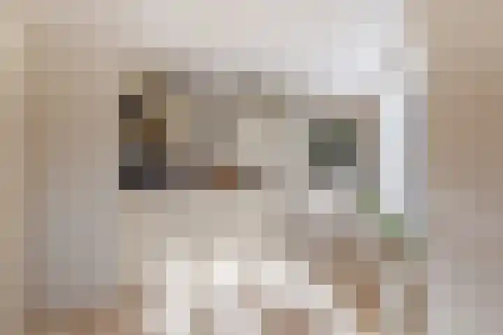 Vijverstraat 12 Nieuwendijk thumbnail 32