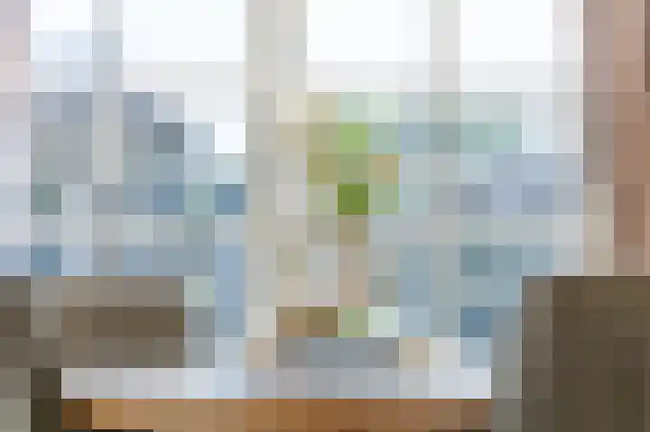 Vijverstraat 12 Nieuwendijk thumbnail 33