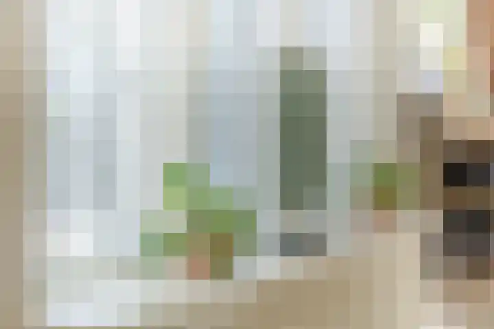 Vijverstraat 12 Nieuwendijk thumbnail 34