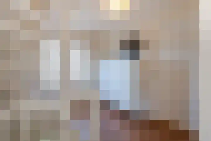 Vijverstraat 12 Nieuwendijk thumbnail 38