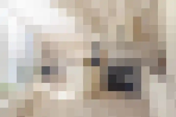 Vijverstraat 12 Nieuwendijk thumbnail 4