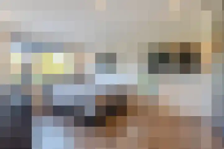 Vijverstraat 12 Nieuwendijk thumbnail 41
